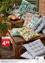 NKD Stuhlkissen im Prospekt 