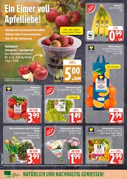 EDEKA Weintrauben im Prospekt 