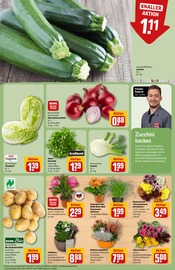 Ähnliche Balkonpflanzen Angebote im Prospekt "Dein Markt" von REWE in Ludwigshafen Ähnliche Angebote wie Balkonpflanzen im Prospekt "Dein Markt" auf Seite 7 von REWE in Ludwigshafen