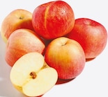 Netto mit dem Scottie Heinrichsruh - Gala Angebot im Prospekt Gala bei Netto mit dem Scottie im Heinrichsruh Prospekt für 1,49 €