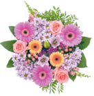 Kaufland Oldenburg Prospekt mit  im Angebot für 25,99 €