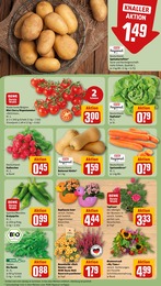 REWE Pflanzen im Prospekt REWE Pflanzen im Prospekt