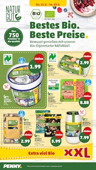 Hackfleisch im Penny Prospekt "Wer günstig will, muss Penny." mit 38 Seiten (Pforzheim)