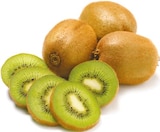 Kiwi Angebote bei Netto mit dem Scottie Potsdam für 0,29 €