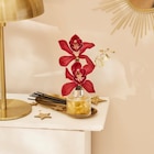 Orchidée 2 fleurons en vase avec encens en promo chez Carrefour Market Roubaix à 7,49 €