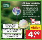 LED Solar Lichtblüte Angebote bei Netto Marken-Discount Neustadt für 4,99 €