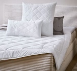 Ganzjahresbett „Lizard“ im XXXLutz Möbelhäuser Prospekt Ganzjahresbett „Lizard“ von Sleeptex im aktuellen XXXLutz Möbelhäuser Prospekt für 19,99 €