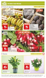 Plantes Angebote im Prospekt "Le mois du FRAIS" von Netto auf Seite 3