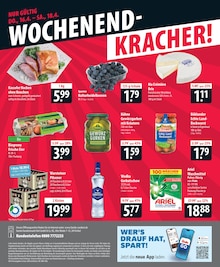 Warsteiner im famila Nordost Prospekt "besser als gut!" mit 24 Seiten (Lübeck)