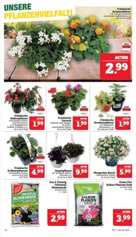 Blumenerde im Marktkauf Prospekt "GANZ GROSS in kleinsten Preisen!" mit 46 Seiten (Nürnberg)