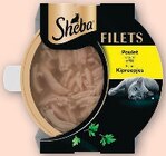 -30% de remise immédiate sur tout SHEBA à Super U dans Pacy-sur-Eure -30% de remise immédiate sur tout SHEBA à Super U dans Pacy-sur-Eure