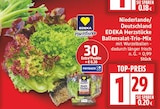 Ballensalat-Trio-Mix von EDEKA Herzstücke im aktuellen EDEKA Prospekt