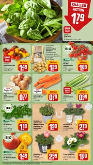 Sellerie im REWE Prospekt "Dein Markt" mit 26 Seiten (Duisburg)