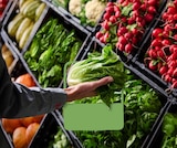 Reise-Angebote der Woche Angebote von REWE Reisen bei REWE Siegen für 100,00 €