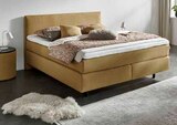 Aktuelles Boxspringbett Angebot bei Opti-Wohnwelt in Bremen ab 1.399,00 €