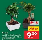 Bonsai für 9,99 € bei Netto Marken-Discount im Angebot Bonsai im aktuellen Netto Marken-Discount Prospekt