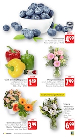 Ähnliche Blumenzwiebeln Angebote im Prospekt "Aktuelle Angebote" von E center in Bensheim Ähnliche Angebote wie Blumenzwiebeln im Prospekt "Aktuelle Angebote" auf Seite 5 von E center in Bensheim