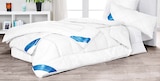 Aktuelle Kopfkissen Angebote bei Möbel Martin in Mainz Aktuelles Ganzjahresbettdecke Angebot bei Möbel Martin in Mainz ab 9,99 €