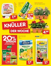 Aktueller Netto Marken-Discount Prospekt mit Balkonpflanzen, "Aktuelle Angebote", Seite 2