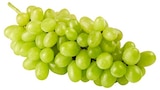 Helle Bio Tafeltrauben Angebote von REWE Bio bei REWE Wilhelmshaven für 2,99 €