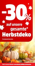 Herbstdeko Angebot & Preis im aktuellen Thomas Philipps Prospekt Herbstdeko Angebot im aktuellen Thomas Philipps Prospekt auf Seite 7