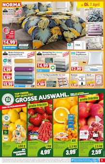 Äpfel im Norma Prospekt "Mehr fürs Geld" mit 19 Seiten (Fürth)