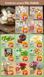 Pflanzen Angebot im aktuellen REWE Prospekt auf Seite 7