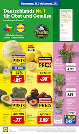 Aktueller Lidl Prospekt mit Zitronen, "LIDL LOHNT SICH", Seite 50