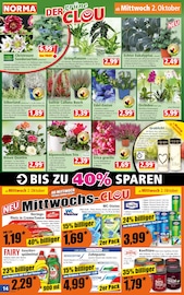 Aktueller Norma Prospekt mit Orchidee, "Mehr fürs Geld", Seite 14