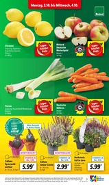 Ähnliche Deko Engel Angebote im Prospekt "LIDL LOHNT SICH" von Lidl Ähnliches Angebot bei Lidl in Prospekt "LIDL LOHNT SICH" gefunden auf Seite 3