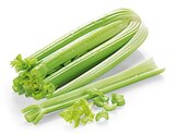 Aktuelles Bio Staudensellerie Angebot bei REWE in Offenbach (Main) ab 1,19 €