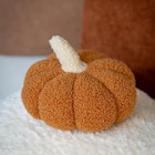 Citrouille deco dans le catalogue B&M