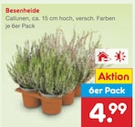 Netto Marken-Discount Gronau (Leine) Prospekt mit  im Angebot für 4,99 €