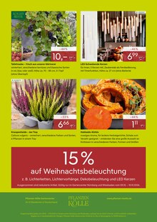 Weintrauben im aktuellen Pflanzen Kölle Prospekt (Nürnberg) Weintrauben im Pflanzen Kölle Prospekt "Bis zu 53% sparen in Nürnberg" mit 4 Seiten (Nürnberg)