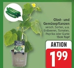 Erdbeeren für 1,99 € bei EDEKA im Angebot Erdbeeren im aktuellen EDEKA Prospekt