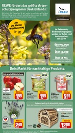 Gartendeko im REWE Prospekt in Schwäbisch Hall Aktueller REWE Prospekt mit Gartendeko, "Dein Markt", Seite 20