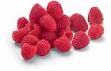Himbeeren von Driscoll's für 1,49 € bei Netto Marken-Discount im Angebot Himbeeren von Driscoll's im aktuellen Netto Marken-Discount Prospekt