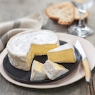 Camembert de Normandie A.O.P. FILIÈRE QUALITÉ CARREFOUR en promo chez Carrefour Camembert de Normandie A.O.P. FILIÈRE QUALITÉ CARREFOUR dans le catalogue Carrefour