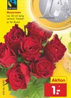 Aktuelles Moosrosen Angebot bei Netto Marken-Discount in Erfurt ab 1,00 €