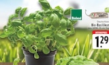 EDEKA Ockenfels - Bio-Basilikum Angebot im Prospekt Bio-Basilikum bei EDEKA im Ockenfels Prospekt für 1,29 €