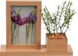 Aktuelle Kunstblumen Angebote bei Marktkauf in Hamburg Aktuelles Bilderrahmen Angebot bei Marktkauf in Hamburg ab 5,99 €