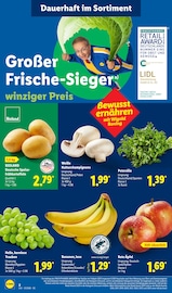 Aktueller Lidl Prospekt mit Kräuter, "LIDL LOHNT SICH", Seite 12