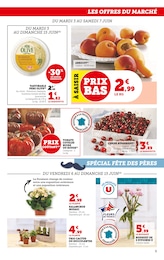 Prix et réduction Cactus dans le prospectus U Express en cours Offre Cactus dans le catalogue U Express du moment à la page 9