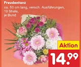 Netto Marken-Discount Pocking - Freudentanz Angebot im Prospekt Freudentanz bei Netto Marken-Discount im Pocking Prospekt für 14,99 €