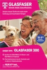 GLASFASER 300 bei Bührs Telekommunikations GmbH & Co.KG im Haselünne Prospekt für 19,95 €