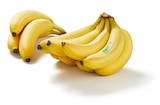 Bio-Fairtrade-Bananen im aktuellen Prospekt bei Lidl in Beucha