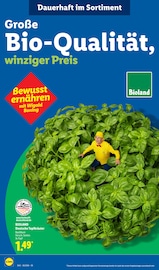 Aktueller Lidl Prospekt mit Kräuter, "LIDL LOHNT SICH", Seite 52