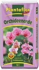 Orchidenerde von Plantaflor im aktuellen Netto mit dem Scottie Prospekt für 2,99 €