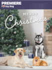 MultiFit oder PREMIERE Adventskalender für Hunde Angebote bei Fressnapf Schwerin für 4,99 €