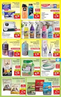 Katzenfutter im Zimmermann Prospekt "Aktuelle Angebote" mit 10 Seiten (Magdeburg)